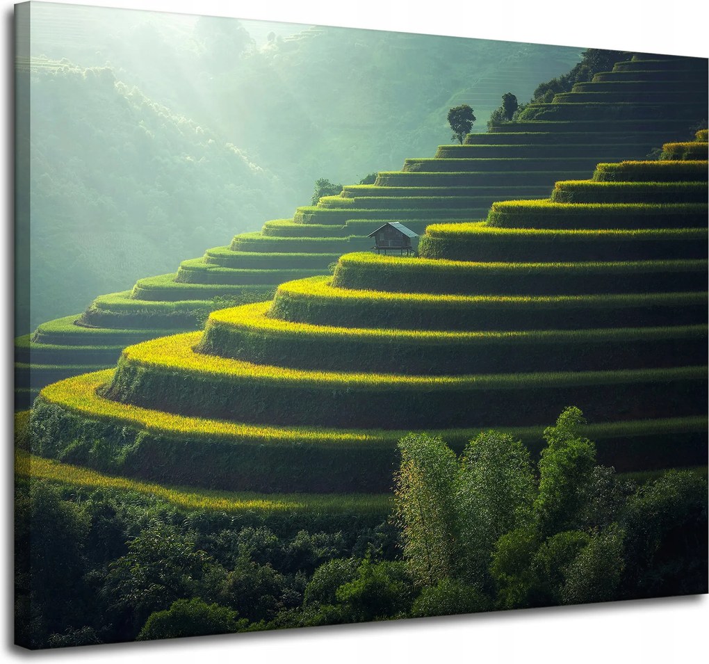 Vászonkép Természet Teraszok Mezőgazdaság 100x80 cm