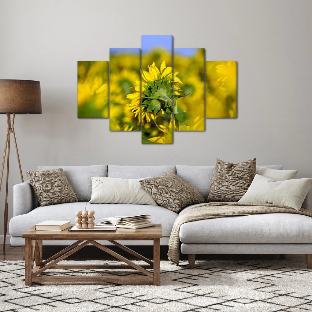 Napraforgó képe (150x105 cm)