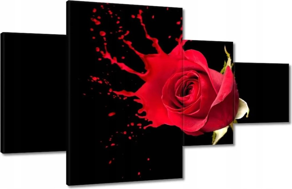 Vászonkép 130x80 Fröccsenő rózsa