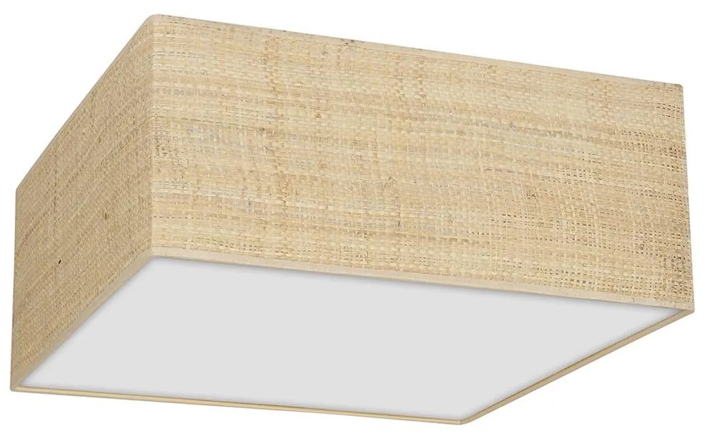 Mennyezeti lámpa MARSHALL 3xE27/60W/230V