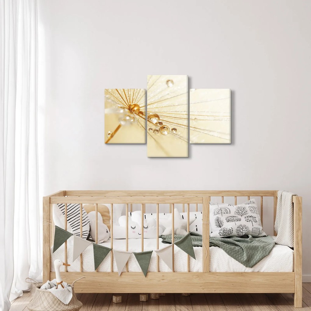 Kép - Makro fotó pitypangról (90x60 cm)