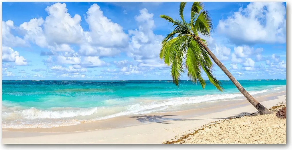 Fotó üvegkép Trópusi tengerpart 140x70