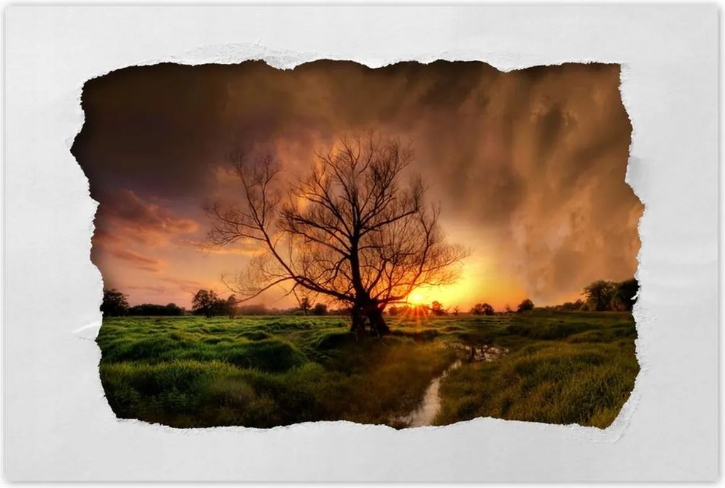 Poszterek 90x60 Tölgy a croissant-ban Nyugat