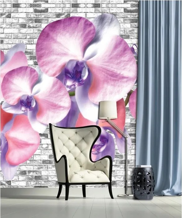 Orchideák fotótapéta téglafalon vinil 184x254 +ragasztó