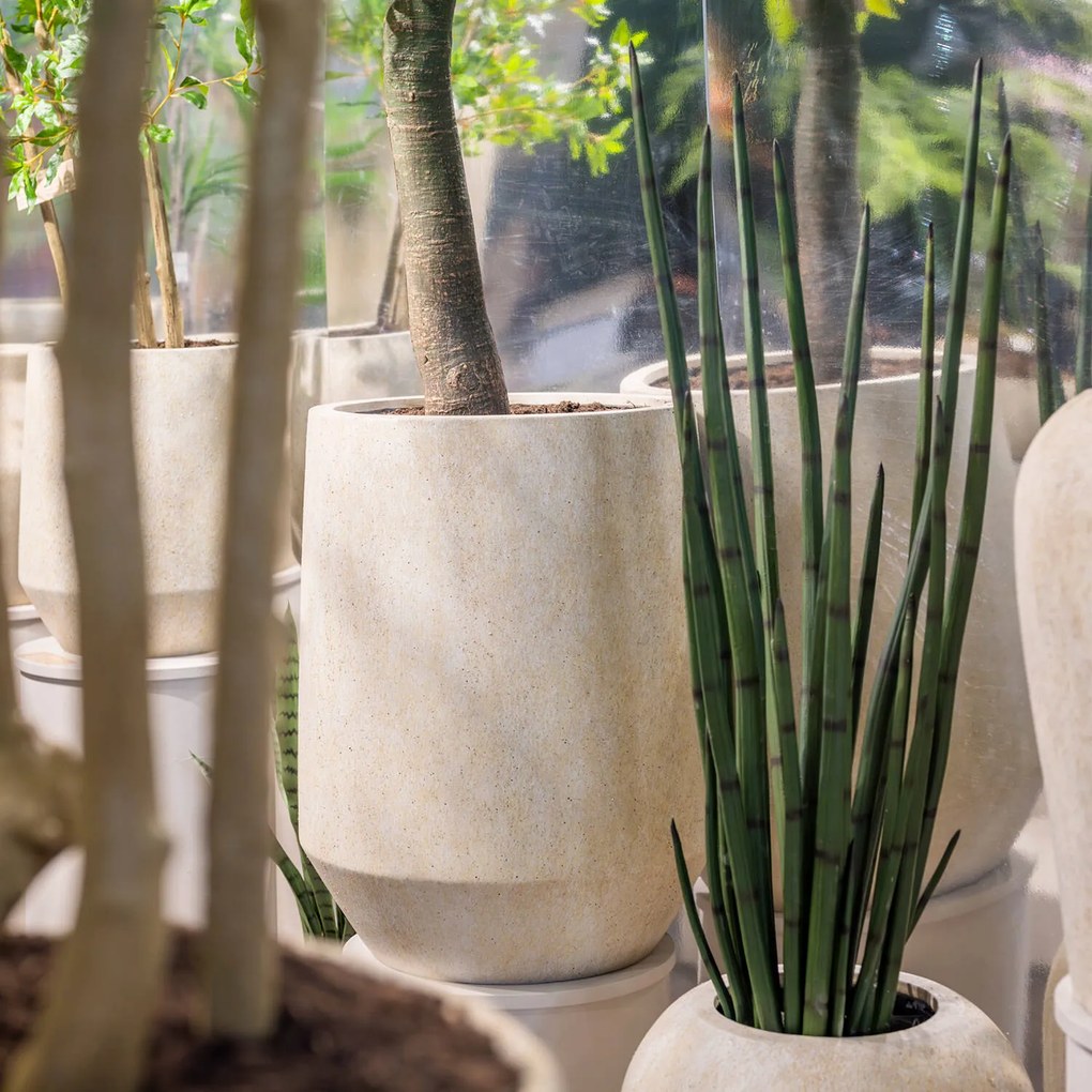 Pottery Pots Realisztikus műnövény Sansevieria cylindrica, több méretben - PotteryPots méret: M - ø 30 cm | m. 120 cm