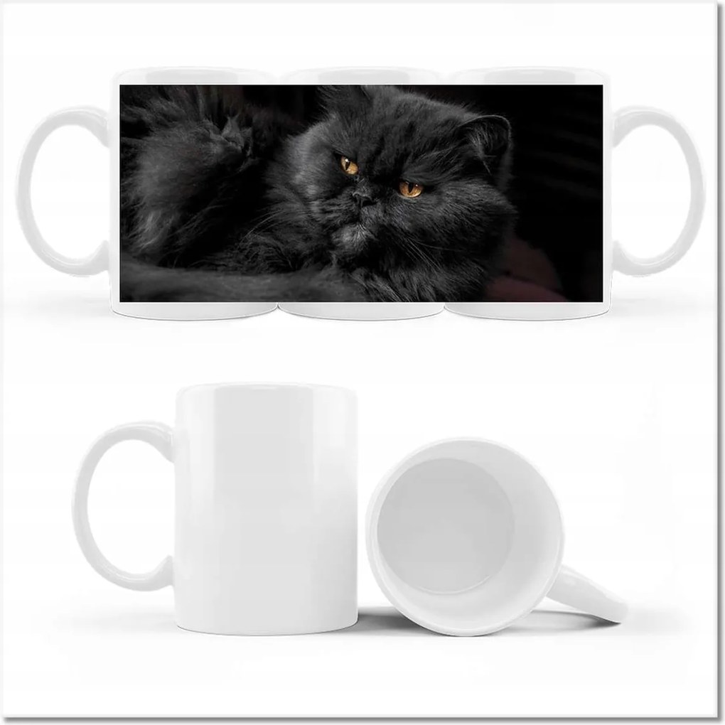 Cica fényképes bögre Cicák