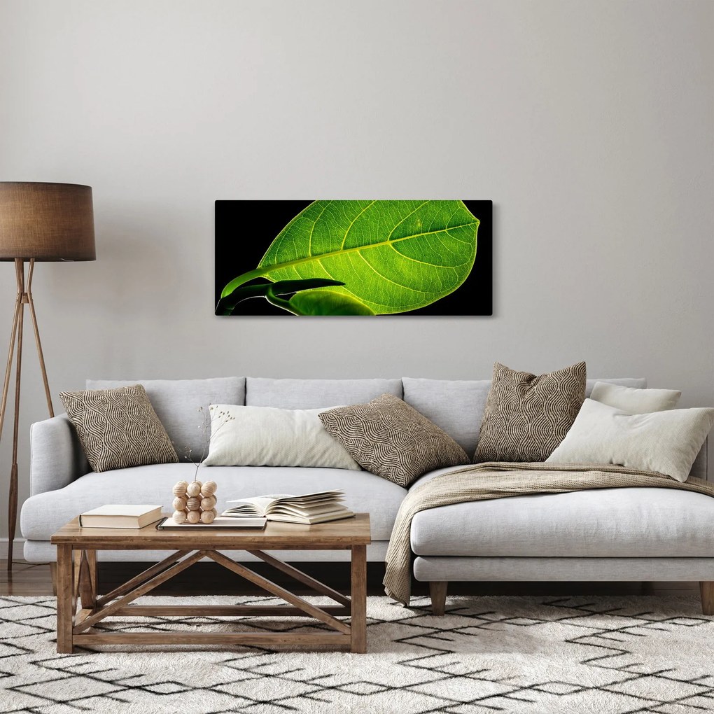 Kép - zöld levél (120x50 cm)