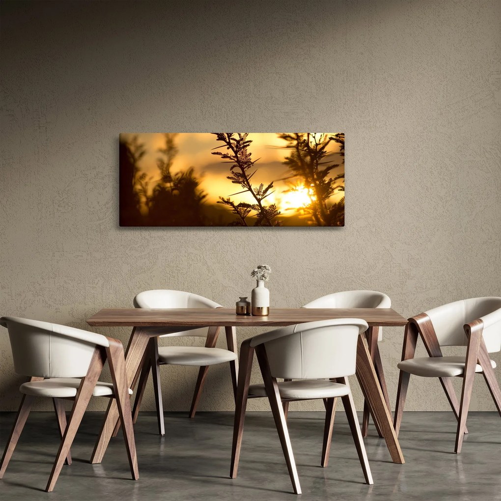 Kép - A nap lenyugszik a fák mögött (120x50 cm)