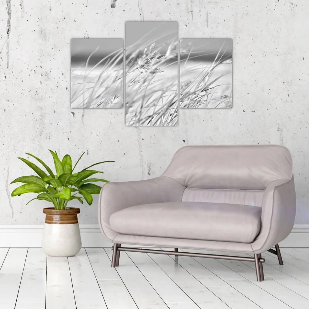 Kép - Strandfű (90x60 cm)