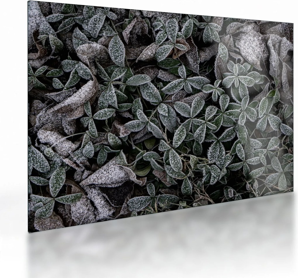 Üveg kép - Fagyasztott növények (70x50 cm)