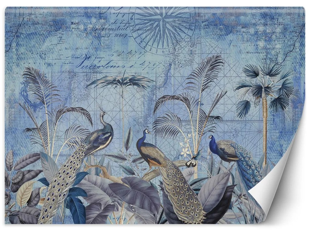 Gario Fotótapéta Pávak a trópusok kékben - Andrea Haase Anyag: Vlies, Méret: 100 x 70 cm