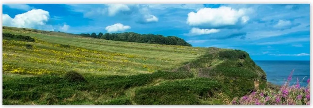 Poszterek 200x66 Virágos rét a tengerparton