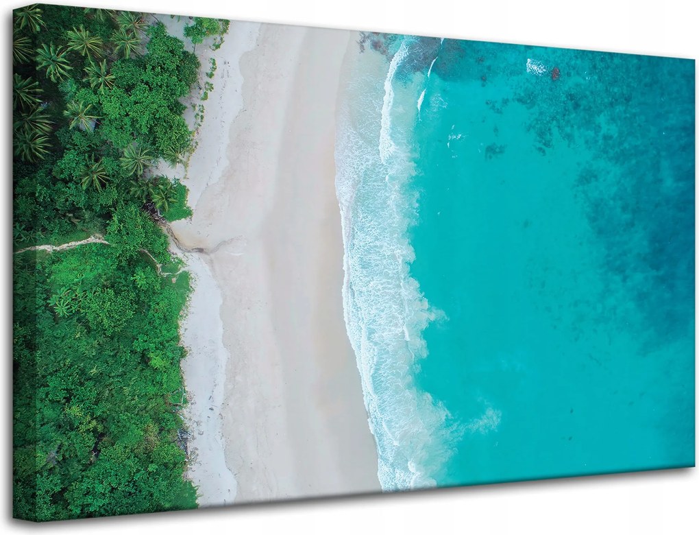 Vászonkép Víz Hullámok Tengerpart Fák Természet 80x50 cm