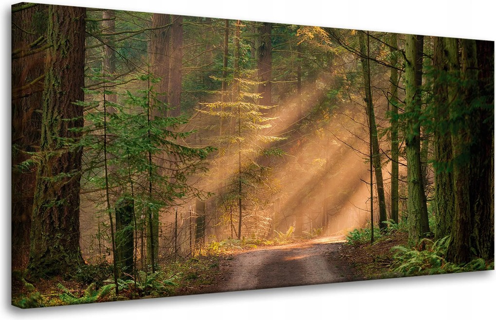 Vászonkép Ösvény az erdőben Fák Természet 80x40 cm