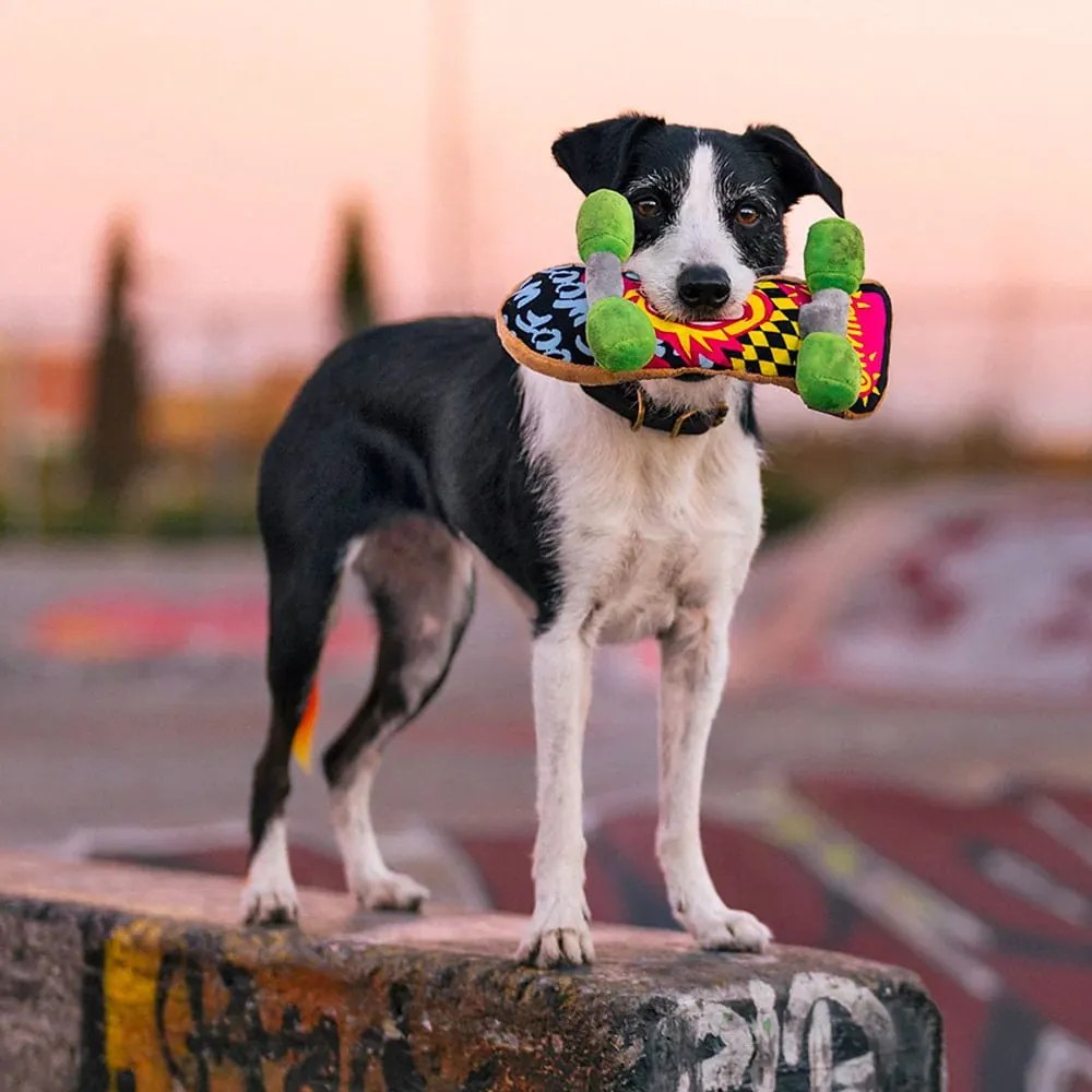 Játék kutyáknak Skateboard – P.L.A.Y.