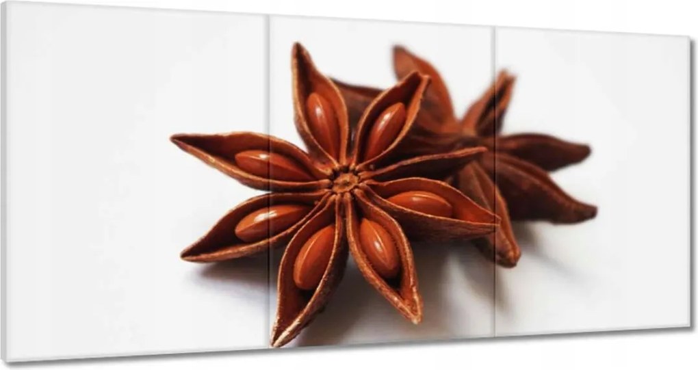 Vászonkép 180x90 Ánizs csillag Ánizs