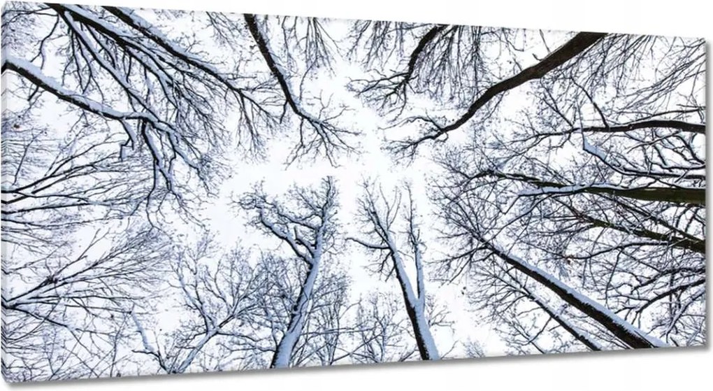 Festmények 115x55 Fa Fák Kilátás