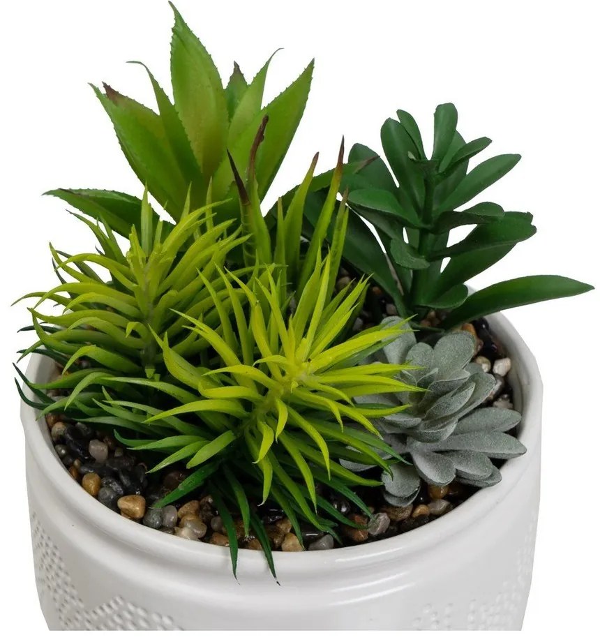 Műnövény szett 2 db-os (magasság 19 cm) Cactus – Casa Selección