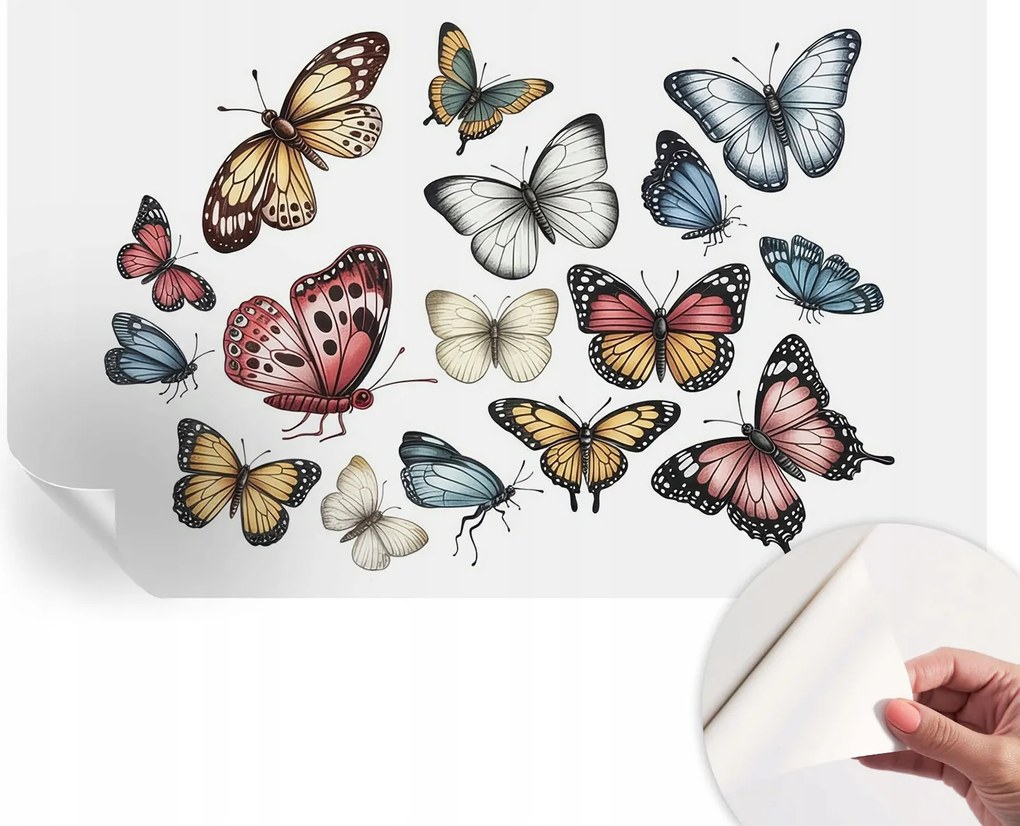 Öntapadós Fali Fotótapéta Hálószobába Paradicsom pillangók 416x254 cm