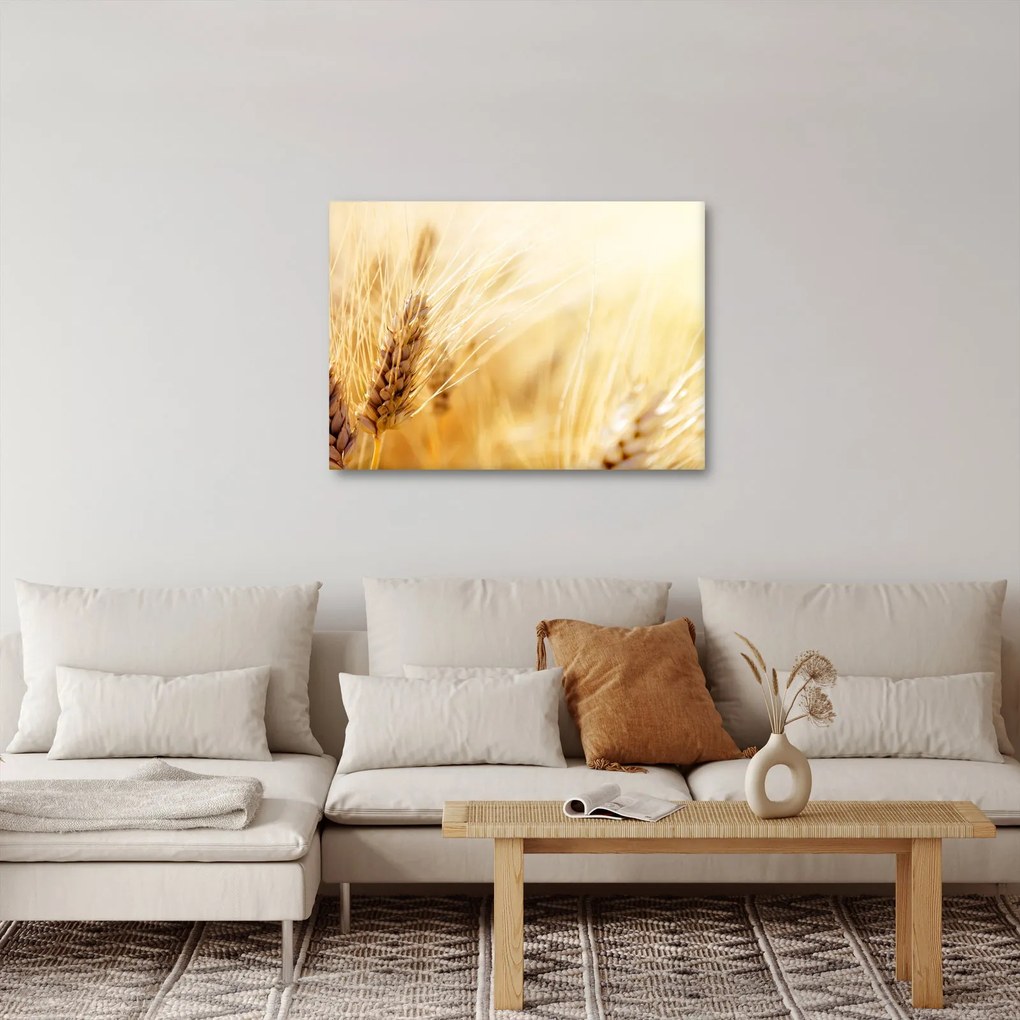 Kép - részlet gabona (70x50 cm)