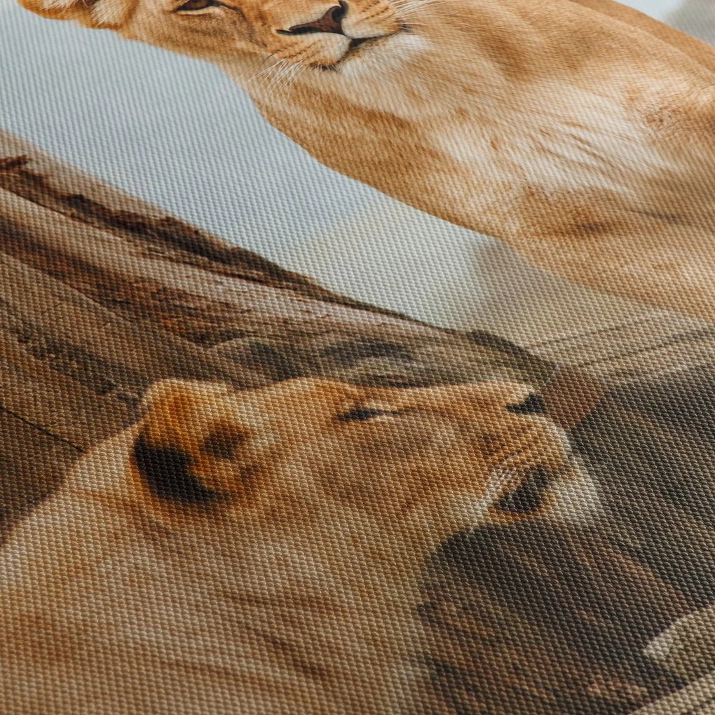 Kép - két oroszlán (90x60 cm)
