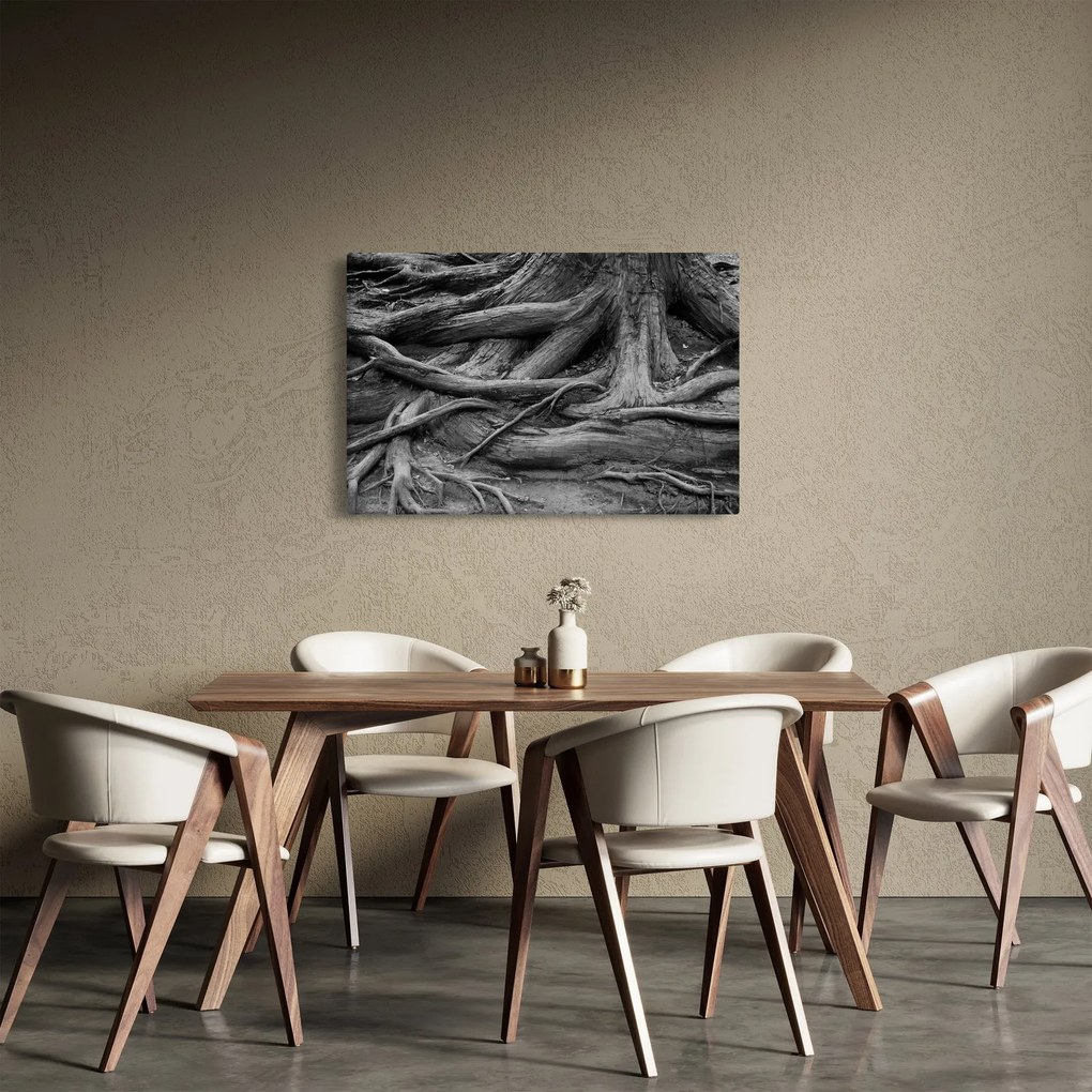 Kép - A fa gyökerei (90x60 cm)