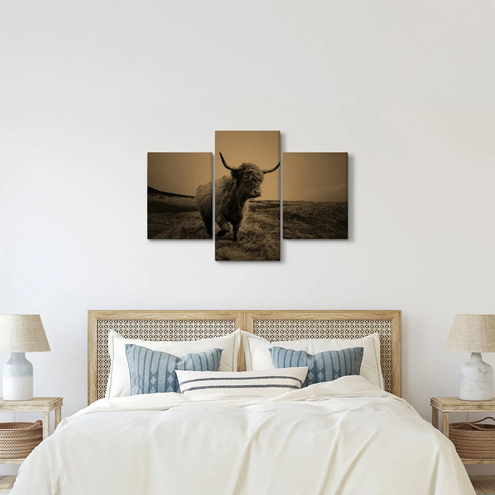 Kép - Skót tehén menekül (90x60 cm)