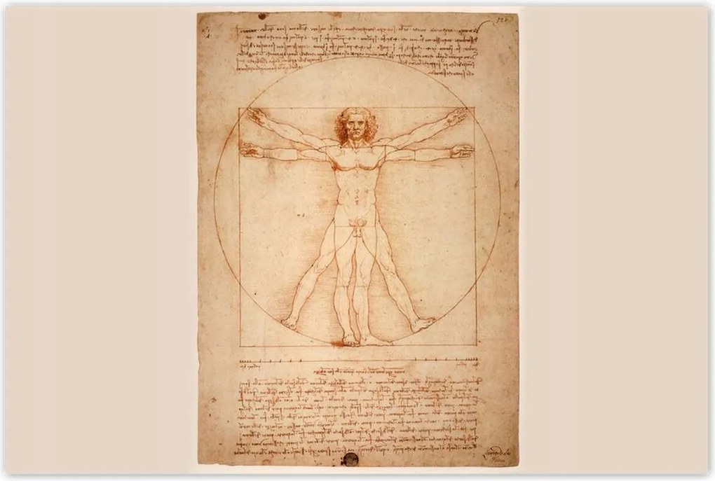 Poszterek 120x80 A vitruviusi ember