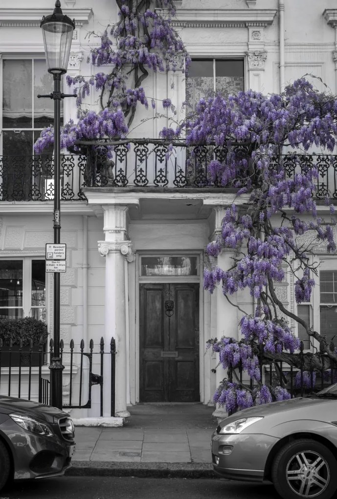 Poszter 67,5x100cm Ház a Portobello úton 2, Assaf Frank