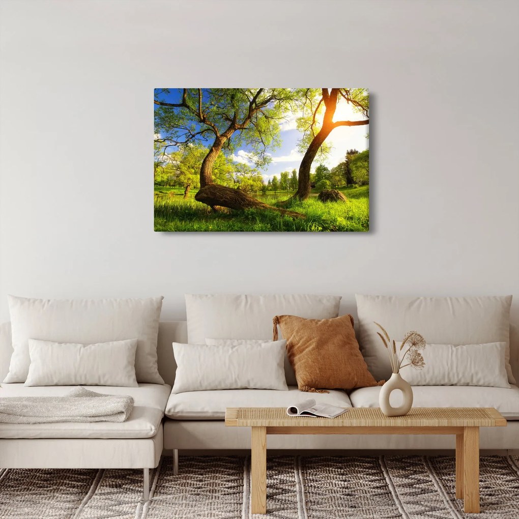 Kép egy tavaszi rétről (90x60 cm)