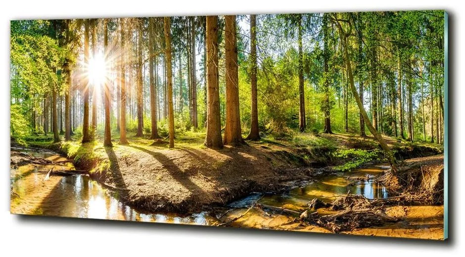 Egyedi üvegkép Panorama erdő cz-obglass-125x50-145813283