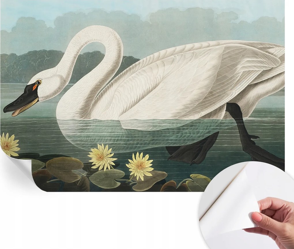 Öntapadós tapéta Fali furnér 3D hatás Hattyú és nenufary 104x70 cm