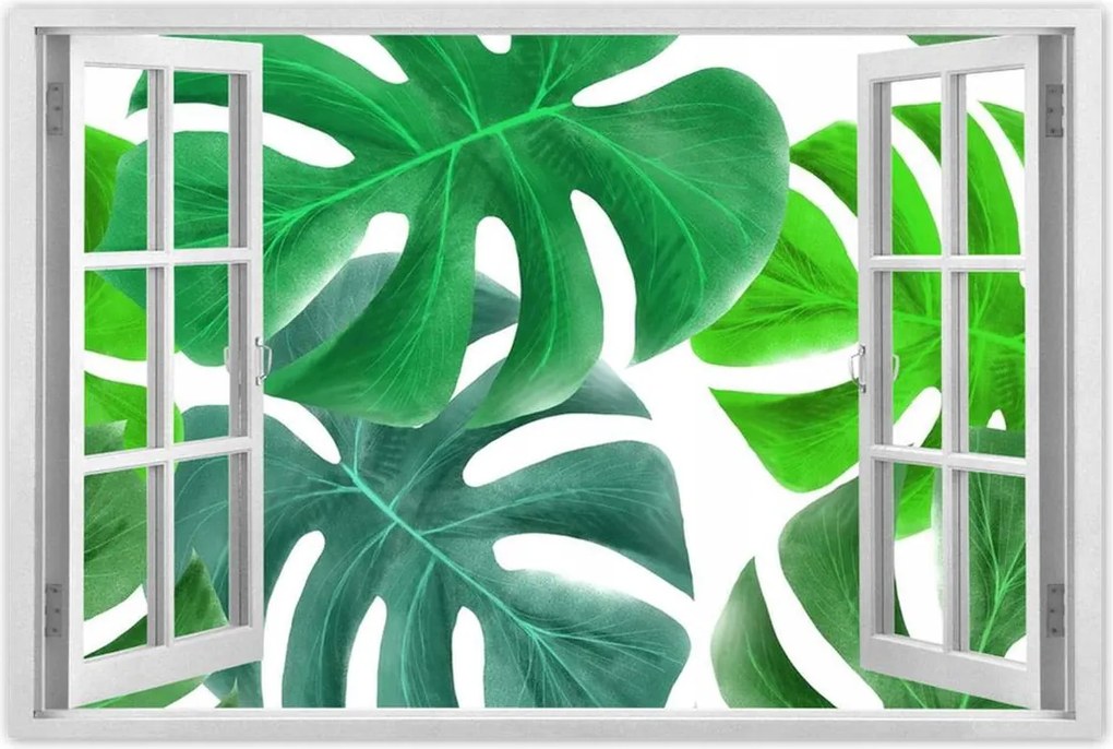 Poszterek 120x80 Levelek Monstery Trópusok