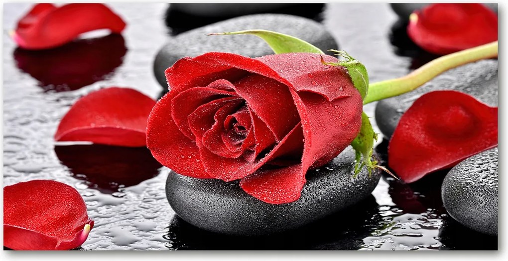 Fotó vászonkép edzett üveg Vörös rózsa 140x70