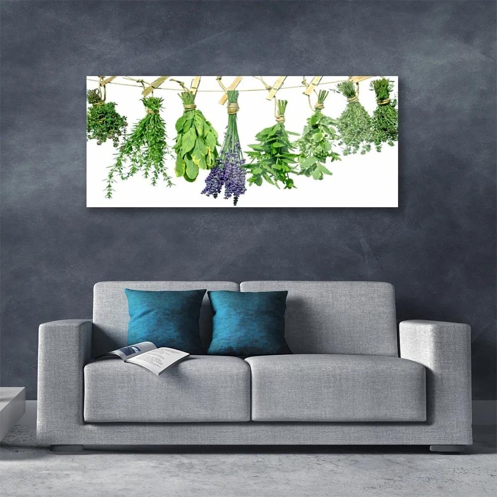 Fali üvegkép Szirmok virágok Gyógynövények 120x60cm