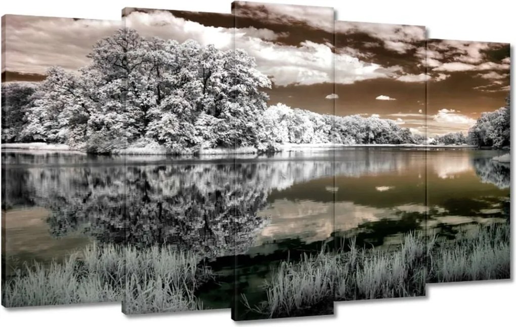 Festmények 100x60 Tájkép Infravörös Ir