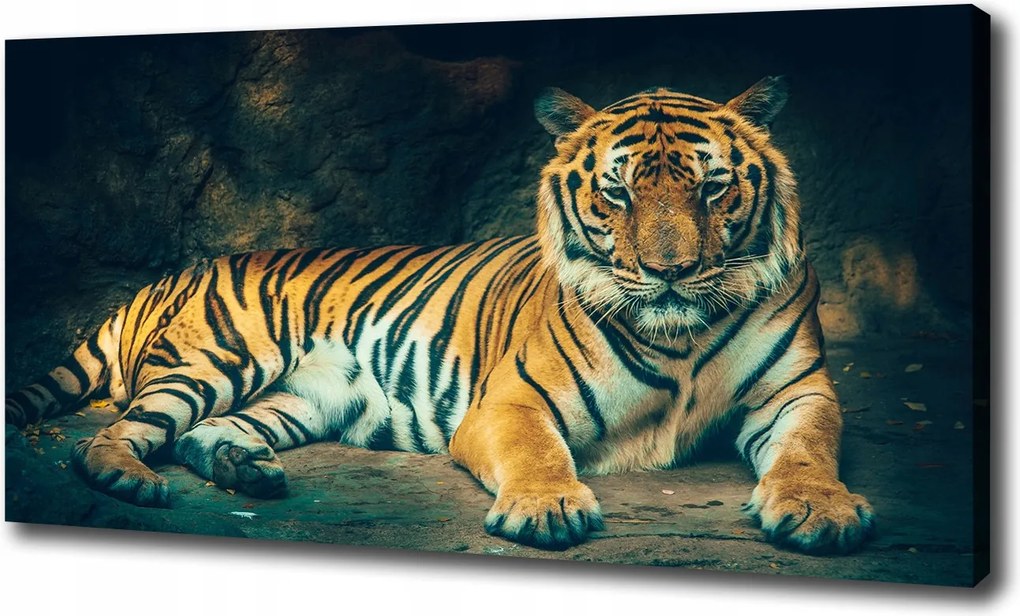 Vászonkép Tigris a barlangban 100x70 cm
