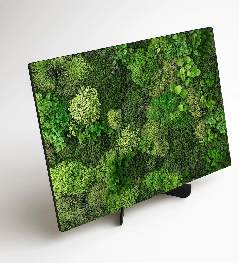 DUBLEZ | Nyomtatott moha kép a falra