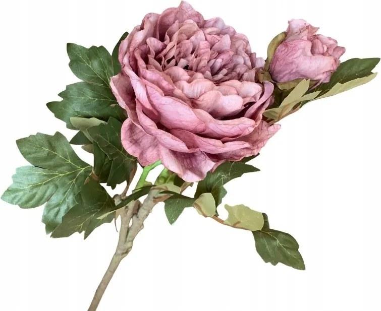 Bazsarózsa Mesterséges Lila Ág Virág Mesterséges Virágok Bazsarózsa