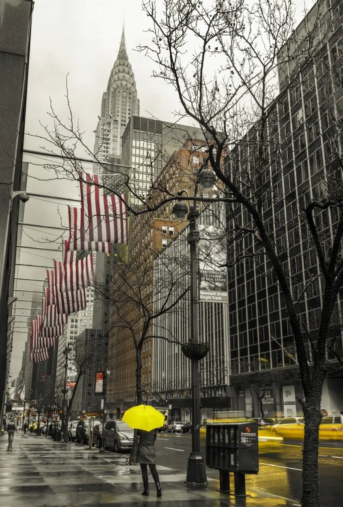 Poszter 67,5x100cm Nő sárga esernyővel New York utcáin, Assaf F