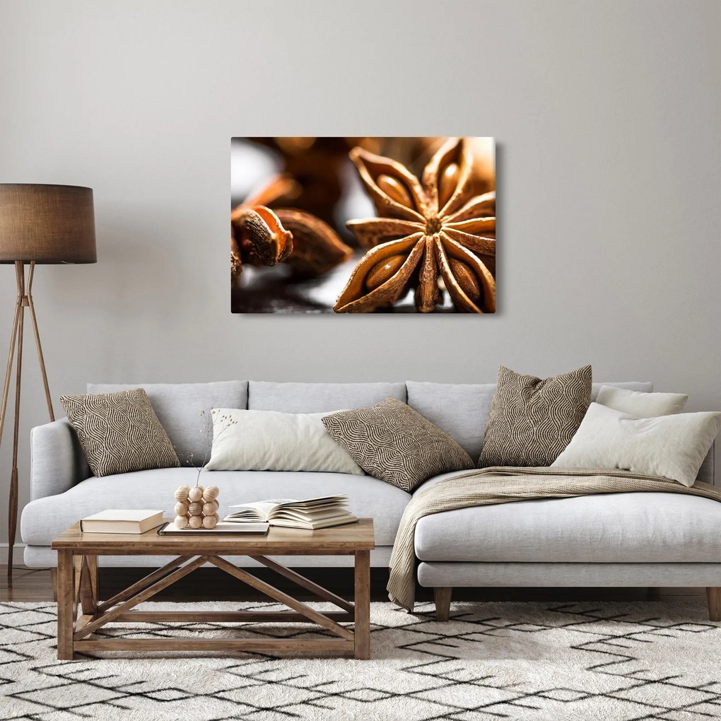 Kép - Anise (90x60 cm)