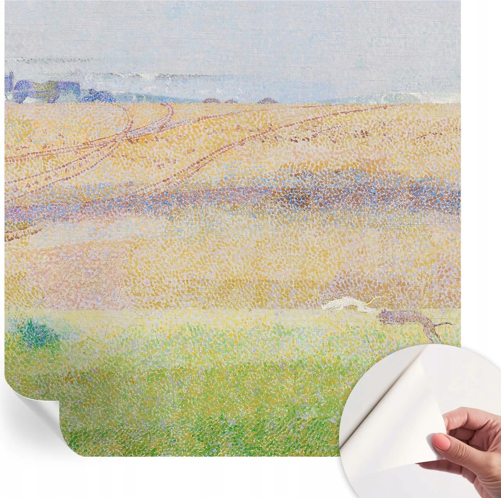 Dekoratív öntapadós fotótapéta Hálószobába Nyári mező 250x250 cm