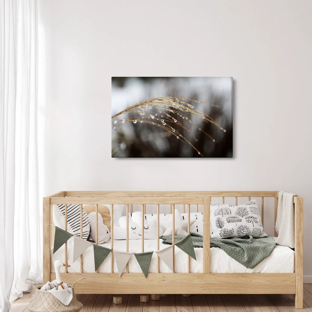 Cseppkép egy növényen (90x60 cm)