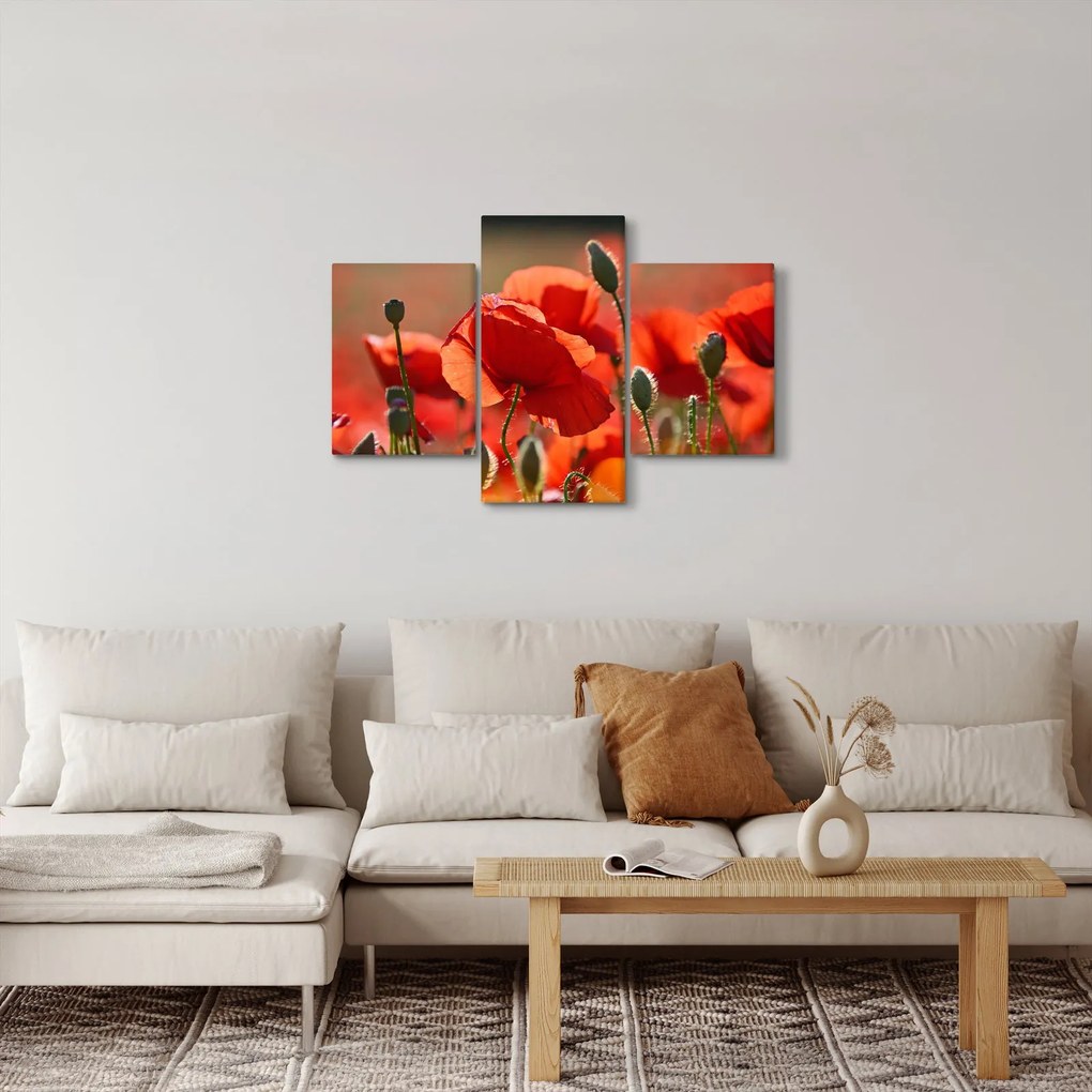 Pipacsok képe (90x60 cm)