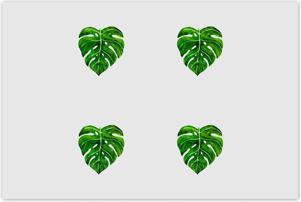 Poszterek 120x80 Monstera Lyukas levelek