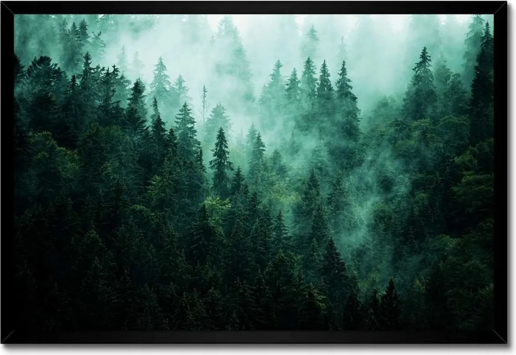 Poszter fekete keretben 60x40 Erdő Köd Tájkép Utazás