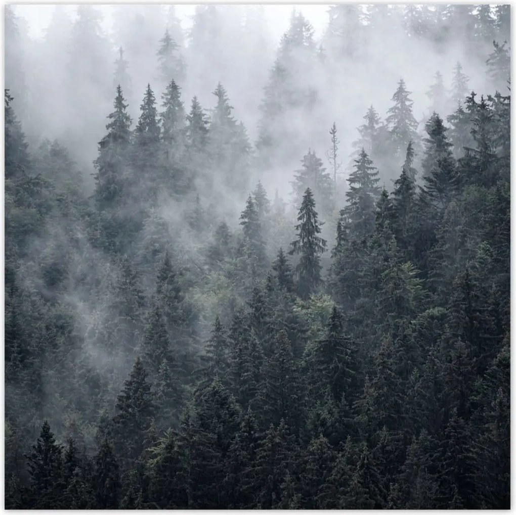 Poszterek 70x70 Ködös hegyi táj