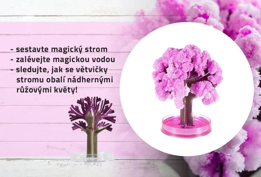 Zaparkorun Mágikus Sakura fa