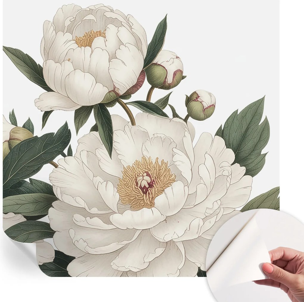 Fotótapéta Fali tapéta Hálószobába és Nappaliba Fehér peonie 250x250 cm