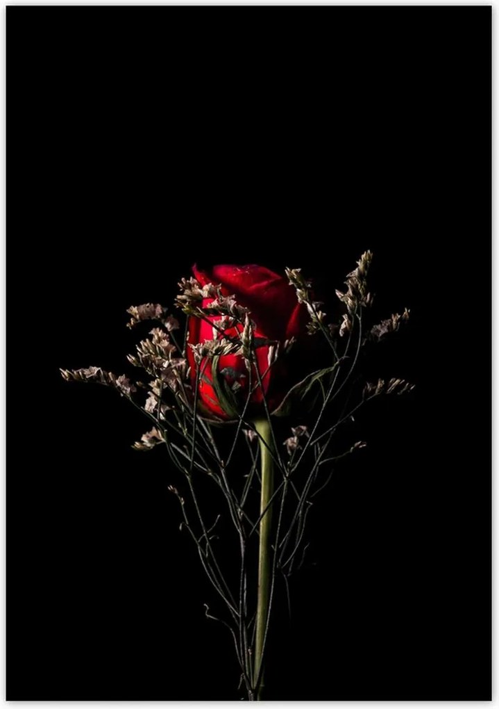 Poszterek 70x100 Rózsa Virág Virágok Rózsa